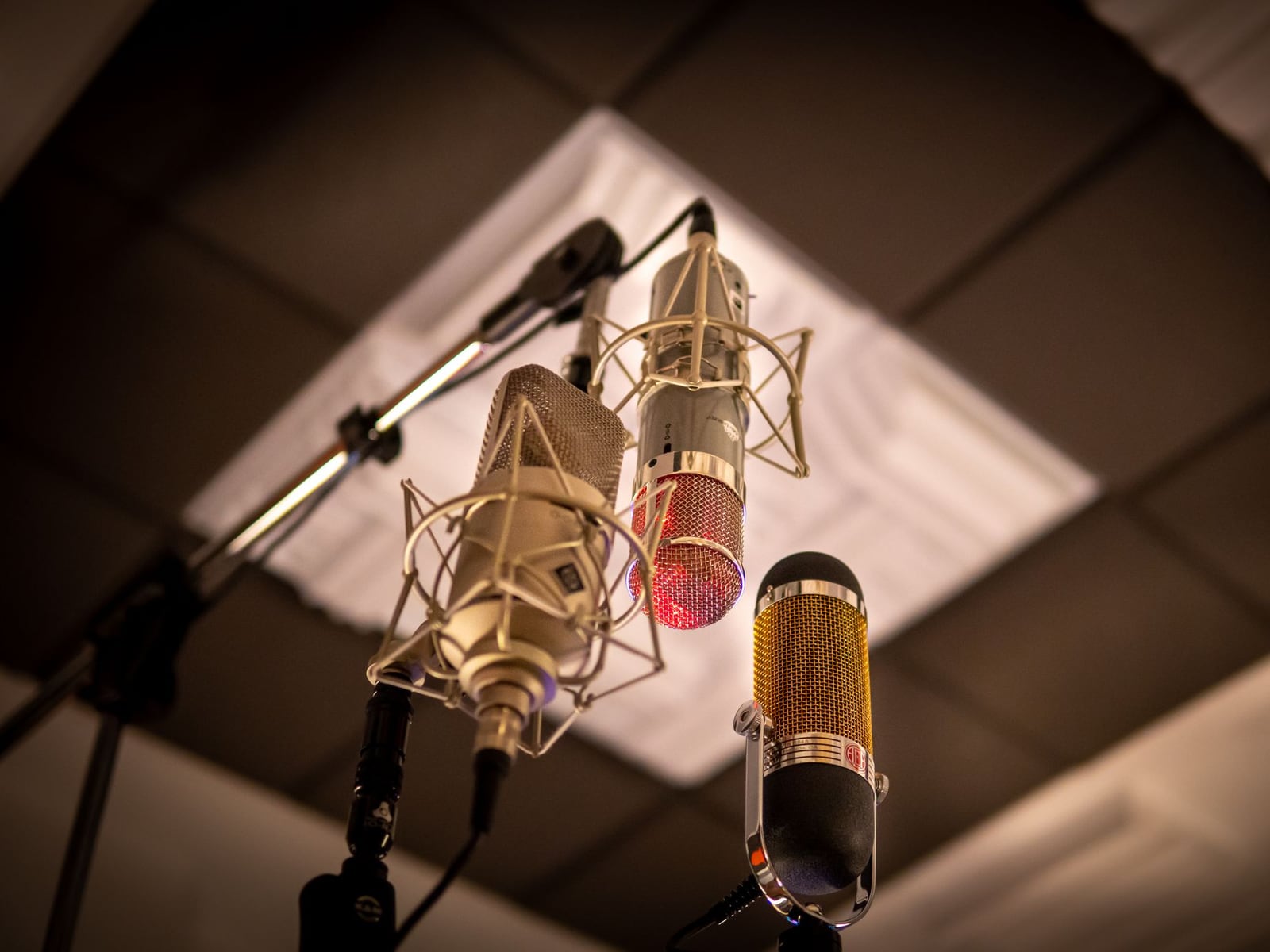 A professional studio condenser microphone with a pop filter used for high-quality vocal recording.